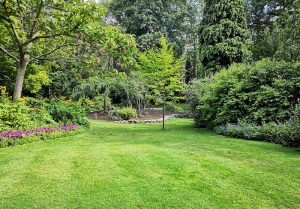 Optimiser l'expérience du jardin à Liancourt-Fosse